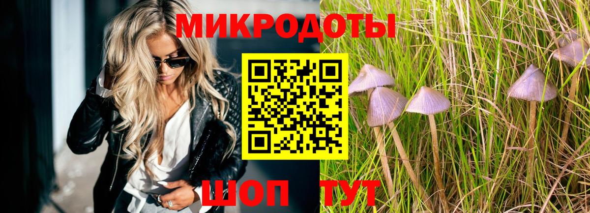 Псилоцибиновые грибы MAGIC MUSHROOMS  Псилоцибиновые грибы Magic Shrooms  Вход с VPN  Калуга 