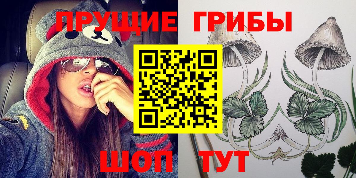 Псилоцибиновые грибы Cubensis Калуга